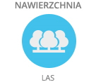 Nawierzchnia - las